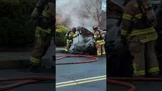 Whitehall Firefighters Knockdown Car Fire #fire #vehiclefire