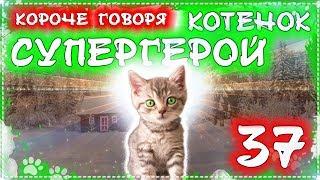 КОРОЧЕ ГОВОРЯ, КОТЕНОК СУПЕР ГЕРОЙ 37 [От первого лица] Я бездомный котенок Лайки