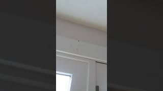 Someone broke in while i was out?!?!?