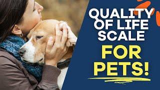 Quality of Life Scale for Pets