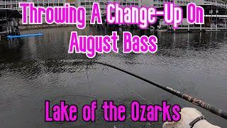 August Bass Fishing | Experiment Day | Lake Of The Ozarks