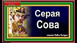 Михаил Пришвин, Серая Сова ,1часть, читает Павел Беседин
