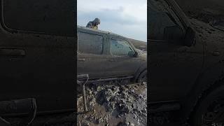 А можно не в болото