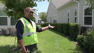HOA Landscaping: Bed Edging