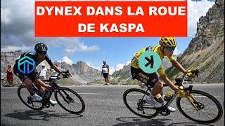  DYNEX (aka DNX)  DANS LA ROUE DE KASPA ‍️‍️ PROJET PROMETTEUR A TRES HAUT RISQUE ️