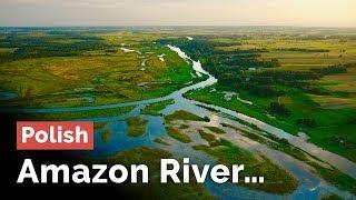 Polish Amazon River... The Narew Valley