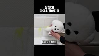 보이면 꼭 사야하는 다이소 강아지 꿀템 #shorts