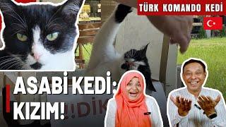 Pakistani Reaction  Adana'nın asabi kedisi, müşterilere aman vermiyor 