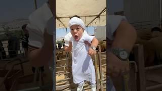 عيد الاضحى غير مع يحيى وعزات  #يحيى_الزعبي