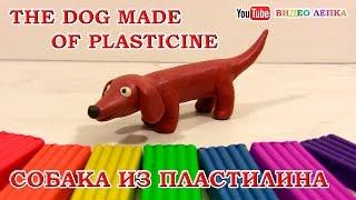 ТАКСА - Лепим собаку из пластилина | Видео Лепка