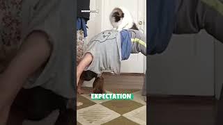 Hilarious Cat Crashes Pet Parent's Yoga Session!