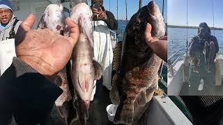 Buzzards Bay Fishing with Subscribers Part 2 | Miss Chris (Neat Lady Fishing)