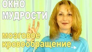 Склероз сосудов головного мозга. Мудра "Окно мудрости". Урок №6