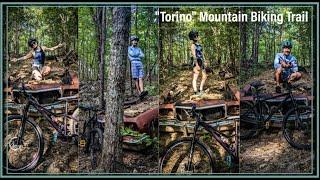 MTB Trail Features | Mountain Biking Adventures #shorts #mtb #trails #mountainbiking #torinotrail