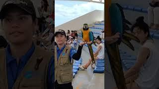 Amazing Bird Show at Cebu Ocean Park – Parrots Do Tricks!