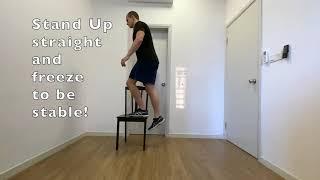 Step Up to Single Leg Balance with Slow Eccentrics