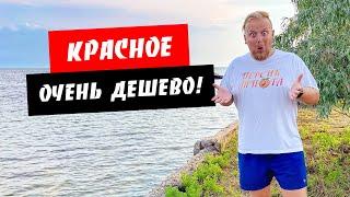 Красное. Очень бюджетный отдых! Мелкое море. Обзор курорта Красное, Херсонская область