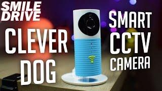 Cleverdog WIFI CCTV IP Security Camera - Its Clever !