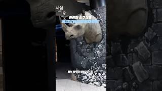 다양한 표본과 모형이 있는 곳 국립낙동강생물자원관