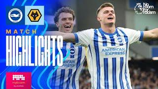 HIGHLIGHTS | Brighton v Wolves | Premier League