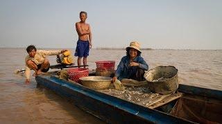 Trouble at Tonle Sap Lake