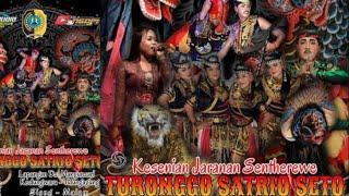 Live Jaranan Senterewe Dangdut Kreasi TURONGGO SATRIO SETO || Kel.Mangunsari Tulungagung