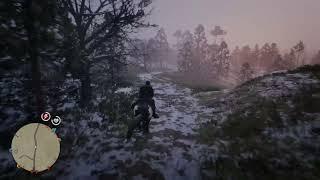 Just another day in Red Dead Online