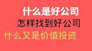 ROE一个指标排除80%的公司！什么是好公司，怎么找到好公司，什么是护城河？