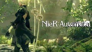 Nier... and yet so far