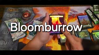 Magic The Gathering Bloomburrow Collectors Booster Box Opening