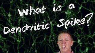 What is a Dendritic Spike?