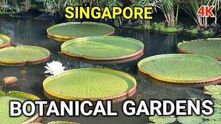 Singapore Botanic Gardens |  UNESCO World Heritage Site |  Singapore Botanic Gardens Weekend Walk