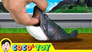 A megalodon lives in my front yard!｜sharks for kids｜CoCosToy