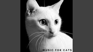 Music For Cats