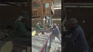 Wood Cutting in Indian Saw Mill