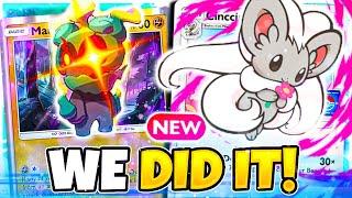 THIS Cinccino TECH Might Actually Be GOOD!? - Pokemon Pocket