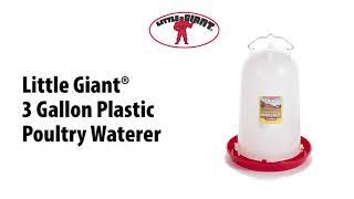 The Little Giant® 3 Gallon Poultry Waterer