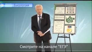 Анонс видеокурса. ЕГЭ по биологии