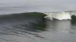 Venice Pier Surf