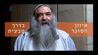 איזון רמות הסוכר בדרך טבעית ללא שינויים גדולים בתפריט