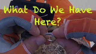 Gold Ring with Stunning Diamond found Metal Detecting the Beach
