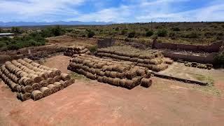 Oudtshoorn Farm, Western Cape