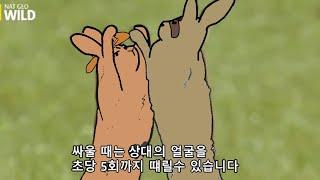 MBTI 유형별 싸우는 방식