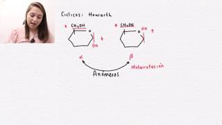 Bioquímica | Metabolismo de los Carbohidratos | Introducción a los carbohidratos