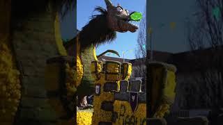  Ambiance de la fête des jonquilles 
