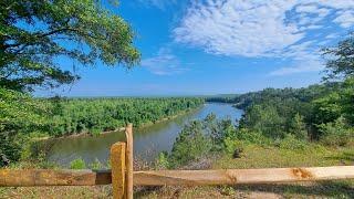 The Garden of Eden Trail - How is this in Florida!?