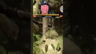 Whacking bush destroys tree shelter