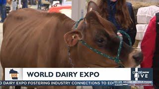 In the 608: World Dairy Expo underway in Madison