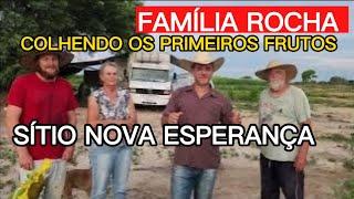 FAMÍLIA ROCHA. EPISÓDIO 15.