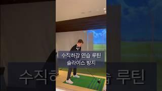 수직하강 연습 방법(슬라이스방지) #박찬준프로 #수직하강 #골프레슨 # #골프 #드라이버레슨